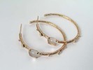 hues earrings